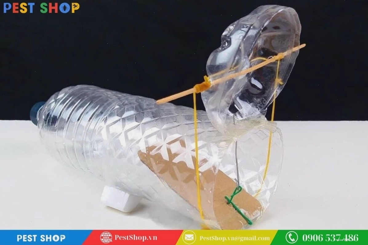 Bẫy chuột tự chế từ chai nhựa đã qua sử dụng rất hiệu quả
