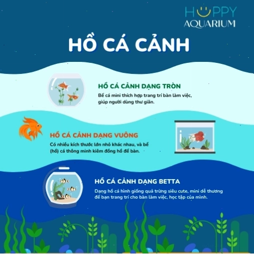 Các dạng nước hồ cá bị đục cần được nhận diện trước khi xử lý