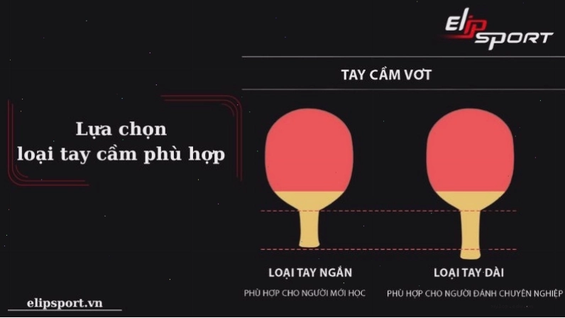 Các loại cán vợt bóng bàn phổ biến