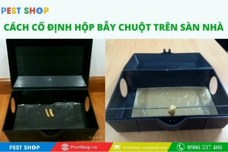 Cách cố định hộp bẫy chuột trên sàn nhà