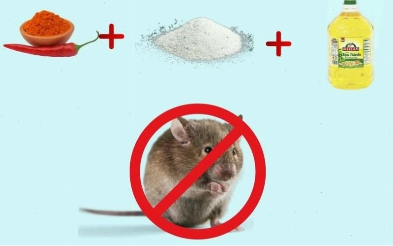 Cách làm hỗn hợp bột ớt đuổi chuột