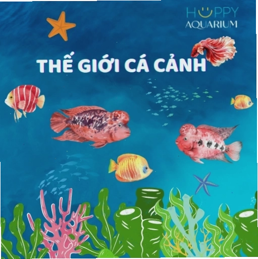 Cách làm nước hồ cá ngoài trời trong veo