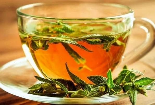 Cai sữa bằng trà cây xô thơm
