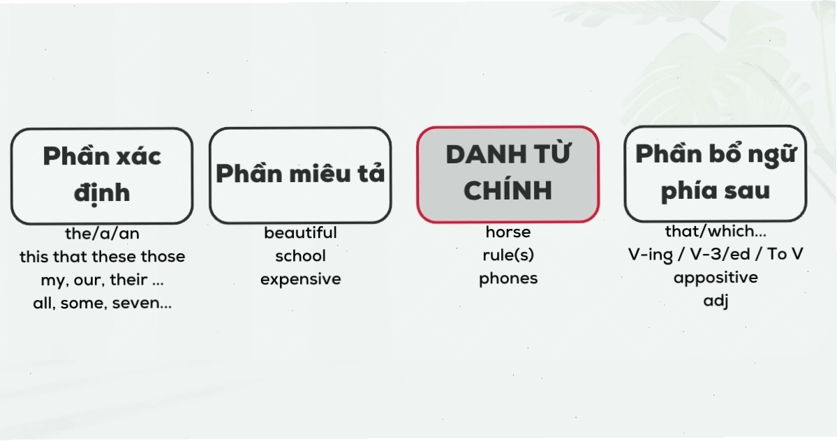 Cấu trúc cụm danh từ và vai trò của danh từ
