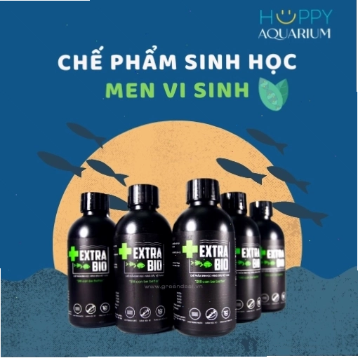 Chế phẩm sinh học men vi sinh cho hồ cá