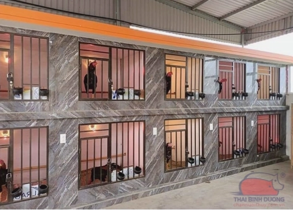 Chuồng gà sử dụng lưới B40 và tấm lợp chống nóng