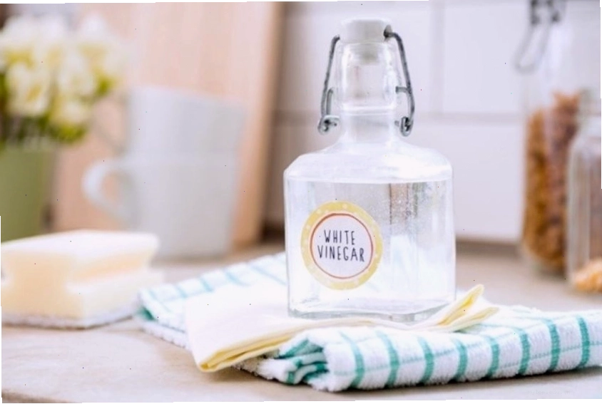 Cửa kính sạch bóng sau khi áp dụng mẹo lau hiệu quả