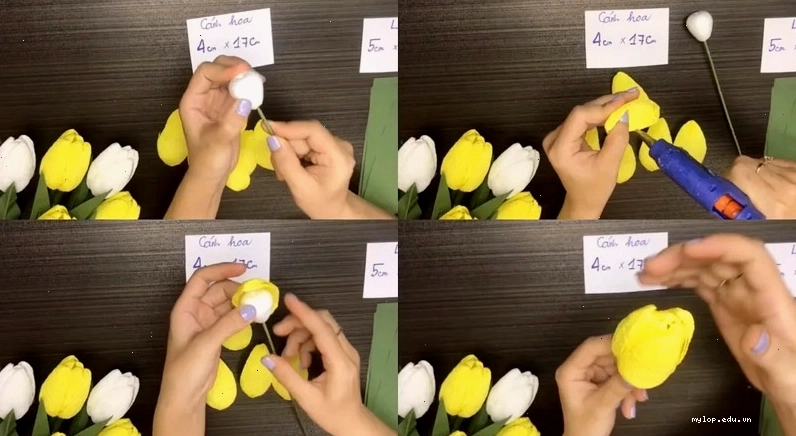 Dán nhụy và cánh hoa hồng giấy