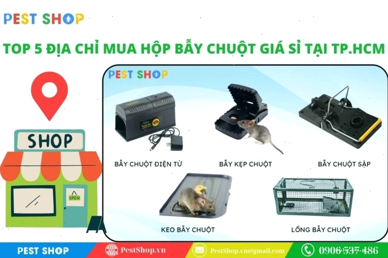 Địa chỉ mua hộp bẫy chuột giá sỉ tại TP.HCM