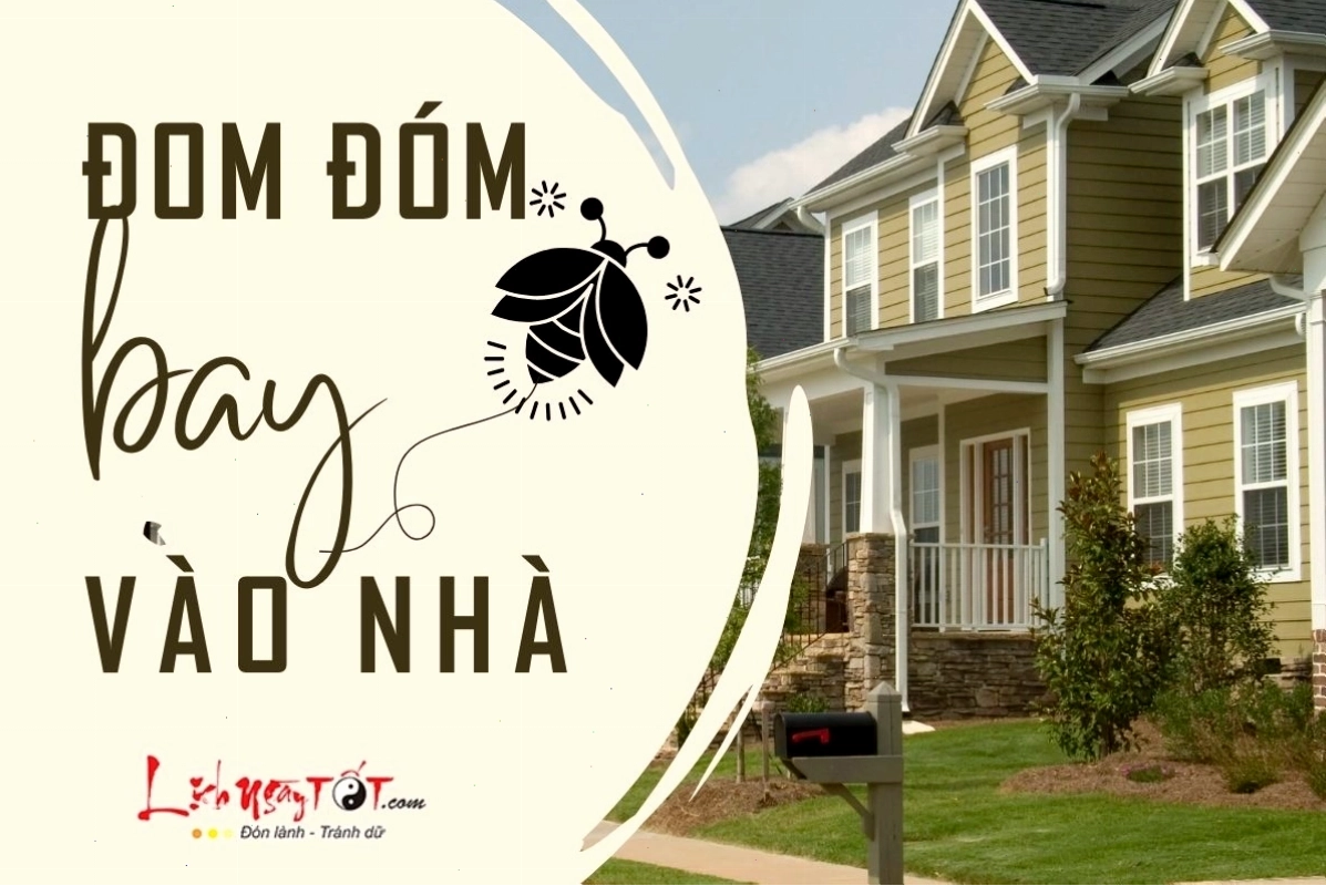 Đom đóm bay vào nhà ban đêm mang ý nghĩa may mắn