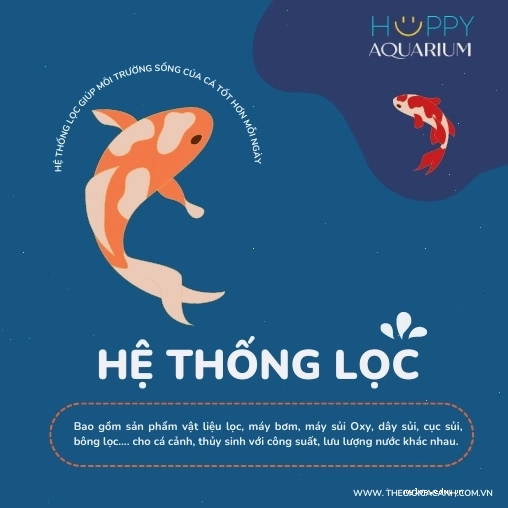 Hệ thống lọc nước hồ cá hiệu quả