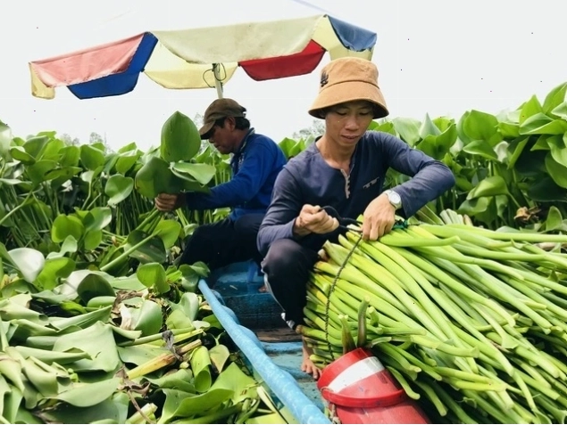 Hình ảnh minh họa các lá bài có giá trị khác nhau trong bài tấn