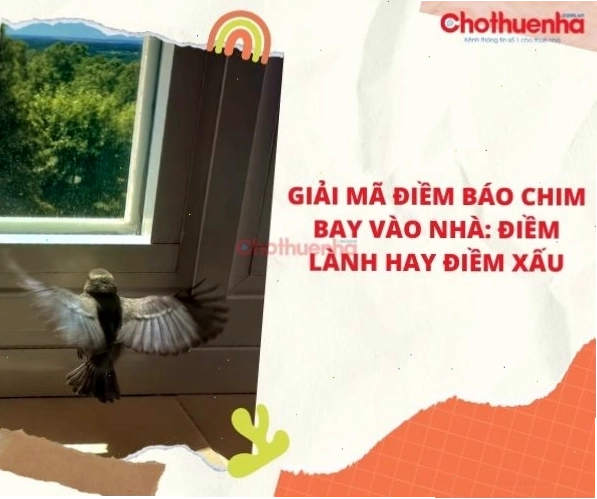 Hình ảnh minh họa chim bay vào nhà theo quan niệm phong thủy