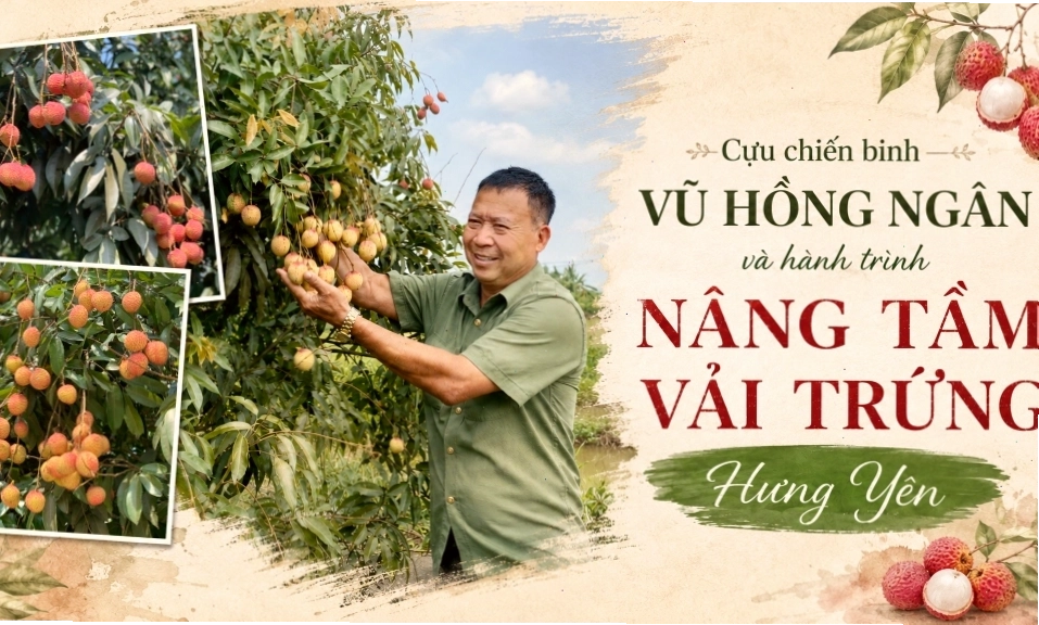 Hình ảnh minh họa về mối quan hệ gia đình và xã hội