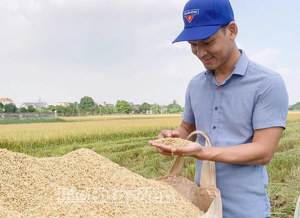 Hình ảnh minh họa về sự nghiệp và công lao đóng góp