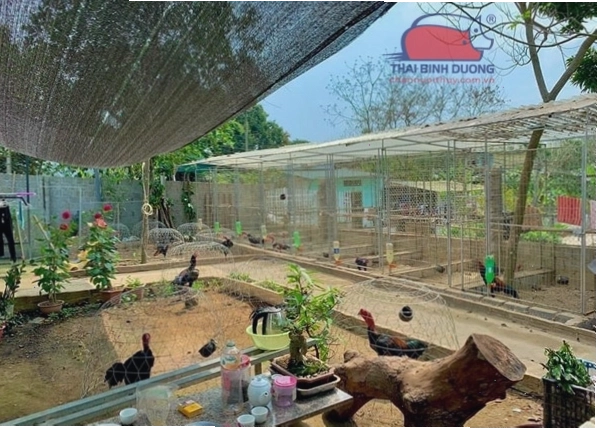 Hoàn thiện chuồng gà với máng ăn, máng uống