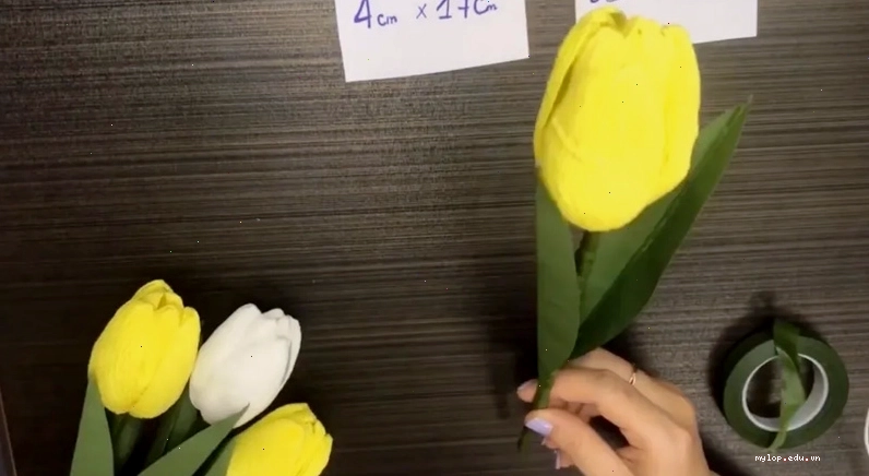 Hoàn thiện hoa tulip giấy