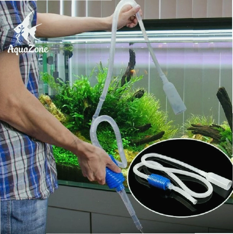 Hút cặn và thay một phần nước hồ cá bằng ống siphon