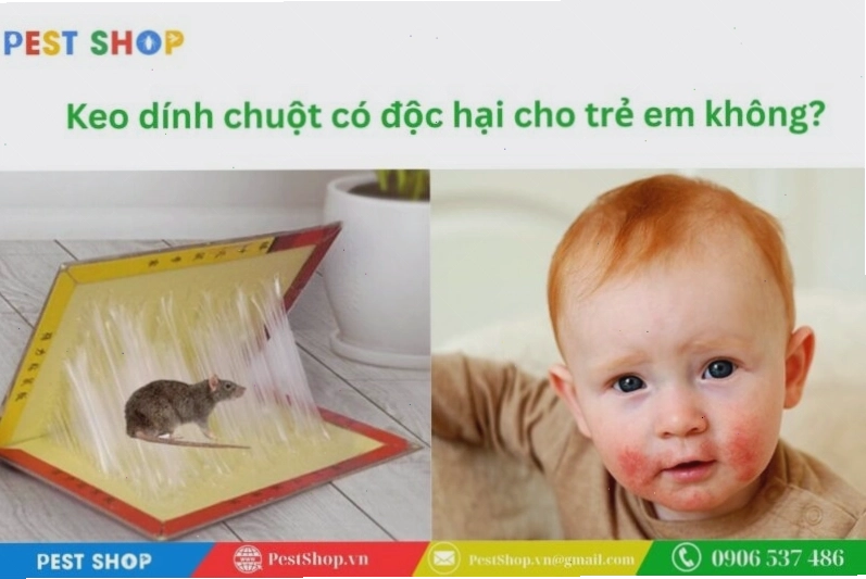 Keo dính chuột có độc hại cho trẻ em không
