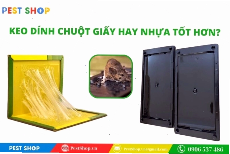 Keo dính chuột giấy hay nhựa tốt hơn?
