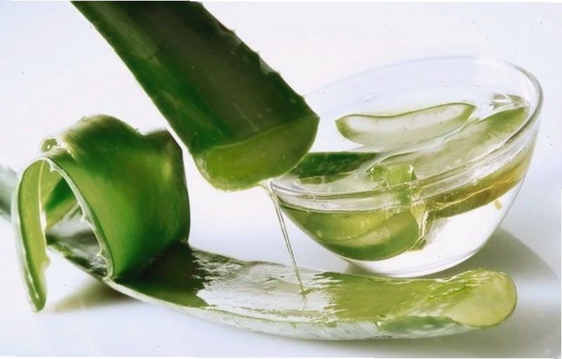 Lá húng quế tươi giúp làm dịu các nốt ban chân tay miệng