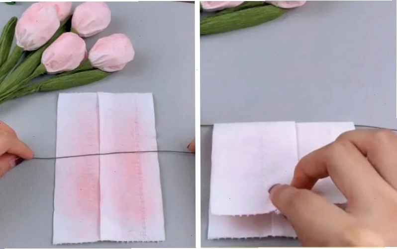 Làm chậu hoa tulip từ lõi giấy vệ sinh