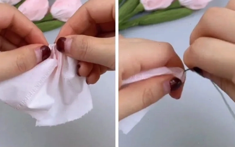 Làm hoa cúc họa mi bằng giấy vệ sinh