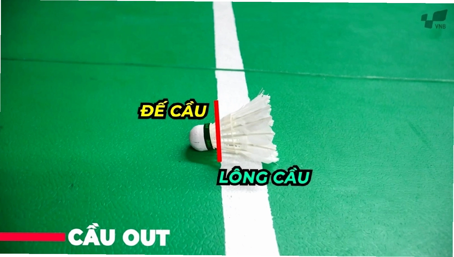 Lời khuyên để thi đấu cầu lông đơn hiệu quả