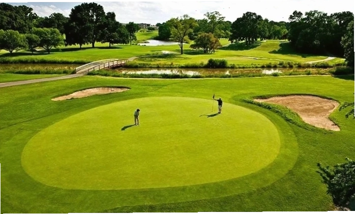 Luật chơi golf mới nhất: cập nhật quy định về thiết bị