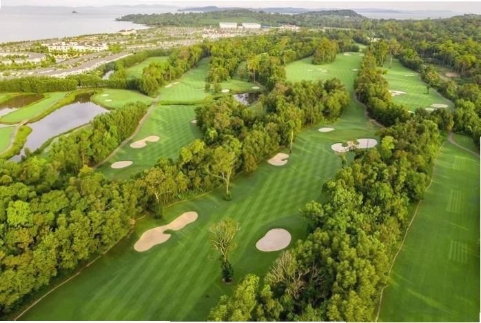 Luật chơi golf: tình huống bóng rơi vào vùng cản trở