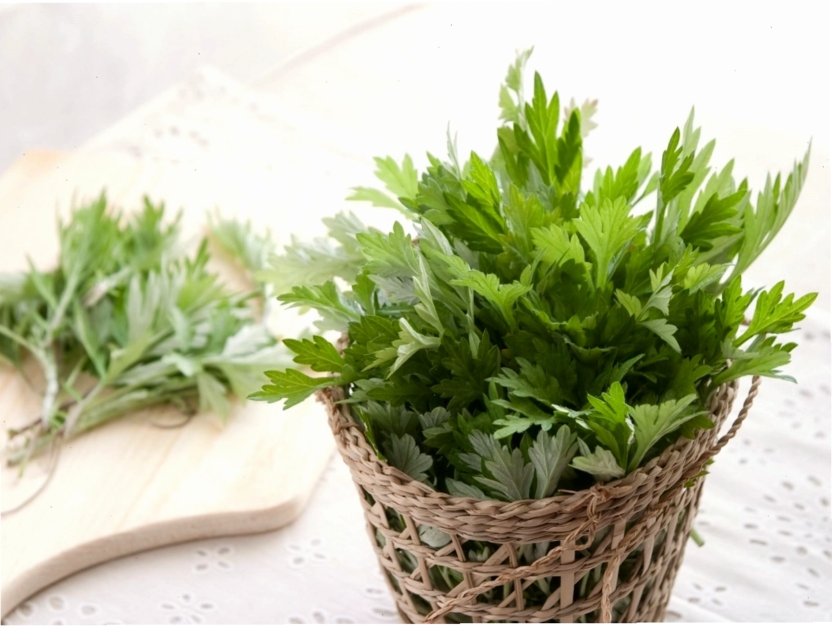 Mẹo dân gian chữa đau vai gáy bằng thảo dược