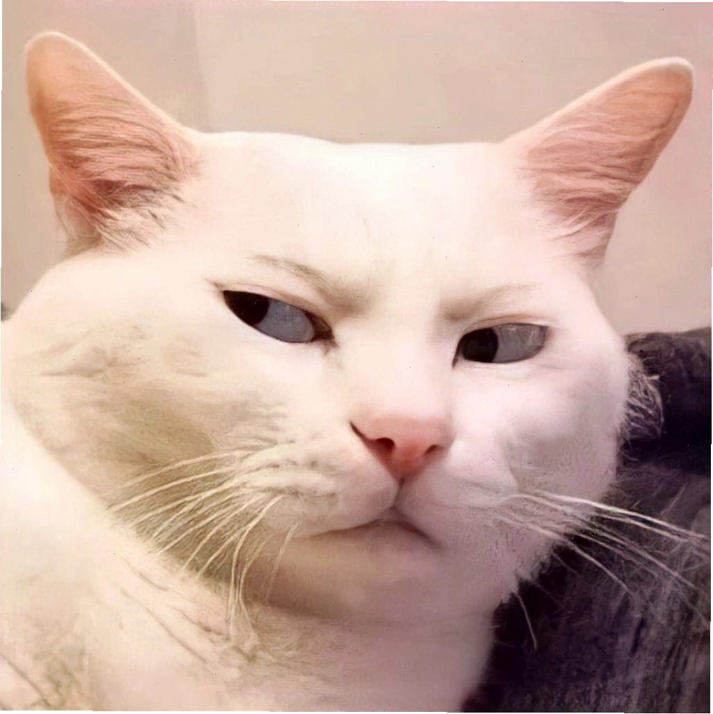 Mèo với đôi mắt lơ đãng