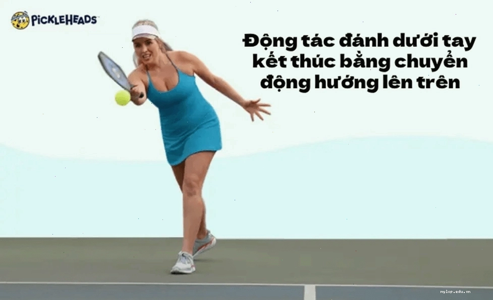 Minh họa động tác đánh bóng Pickleball