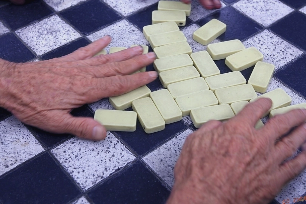 Người chơi tráo đều các quân cờ domino trên bàn