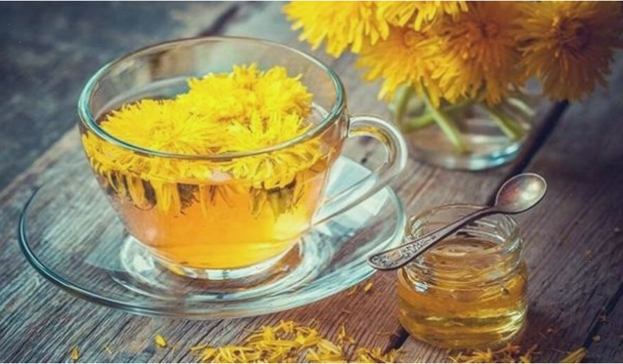 Nước lá Bồ Công Anh giúp trị tắc sữa hiệu quả cho mẹ sau sinh