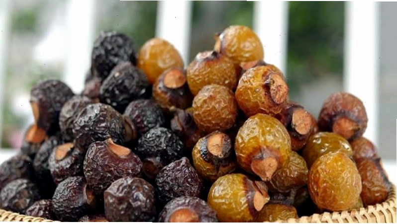 Nước rửa chén làm từ quả bồ hòn