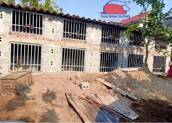Ổ đẻ cho gà mái cần đảm bảo sự yên tĩnh và sạch sẽ