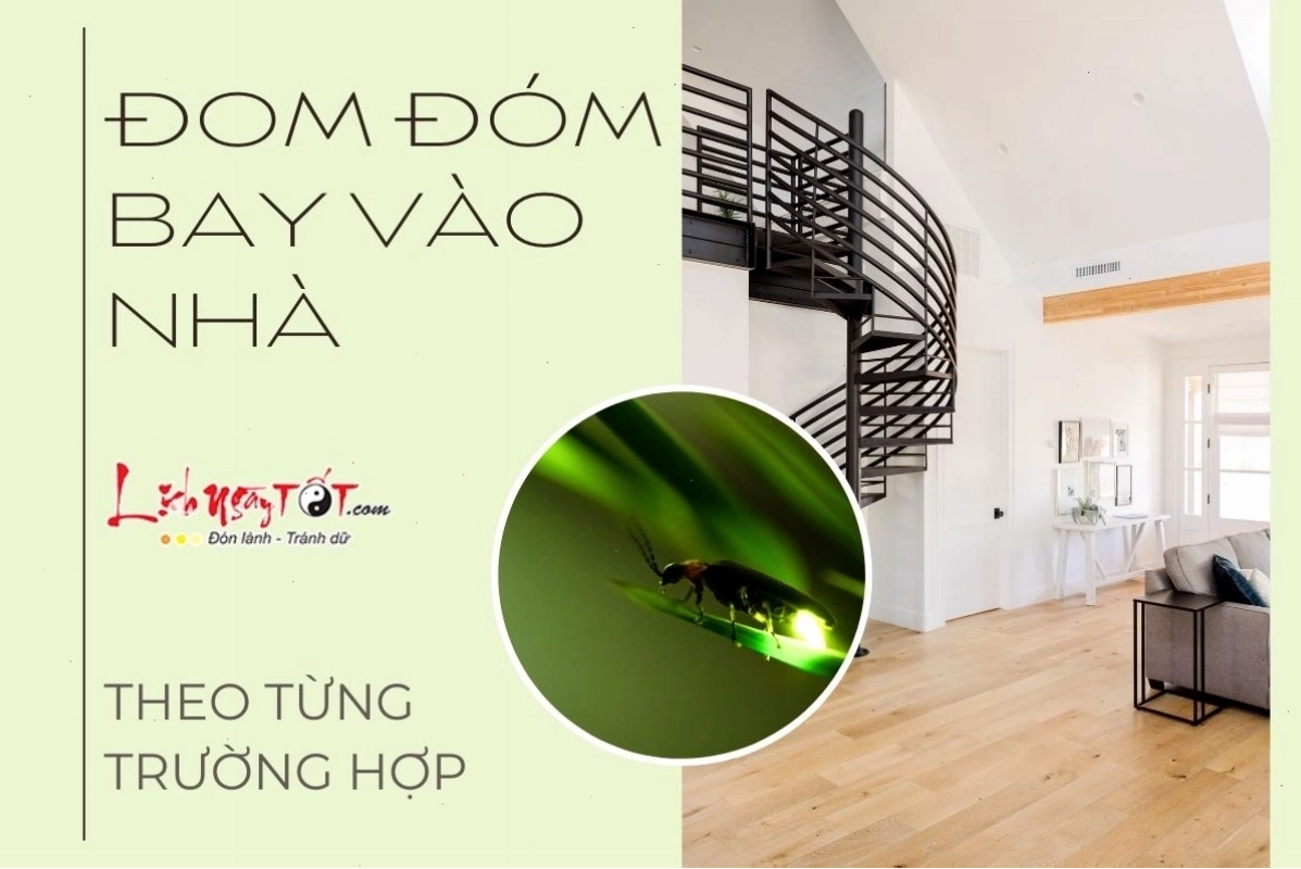 Quan sát đom đóm bay vào nhà một cách tự nhiên