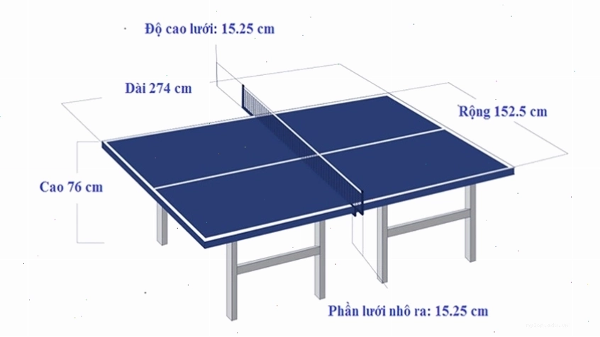 Quy định tiêu chuẩn về kích thước của bàn bóng bàn