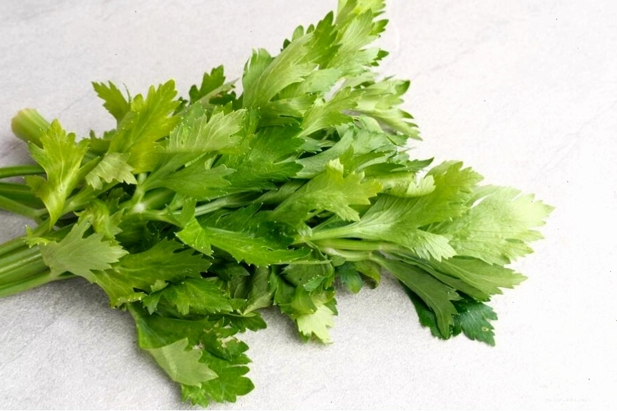 Rau cải cúc có vị ngọt mát, thường dùng trong bữa ăn hằng ngày để hỗ trợ trị ho