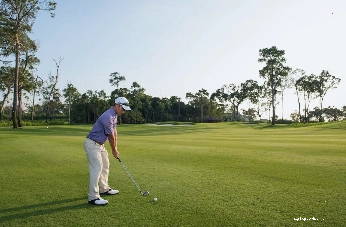 Tận hưởng niềm vui chơi golf với kiến thức luật đầy đủ