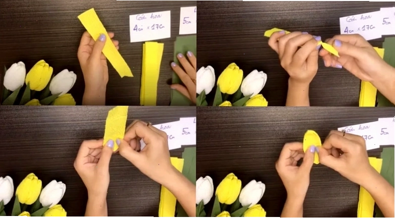 Tạo cánh hoa tulip từ giấy nhún