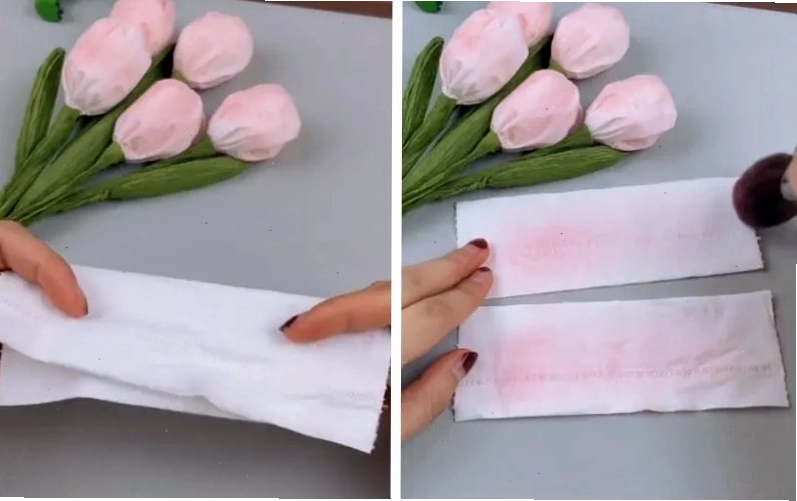 Tạo cánh hoa tulip từ giấy vệ sinh