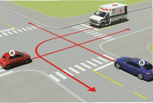 Thách thức từ các câu hỏi về sa hình