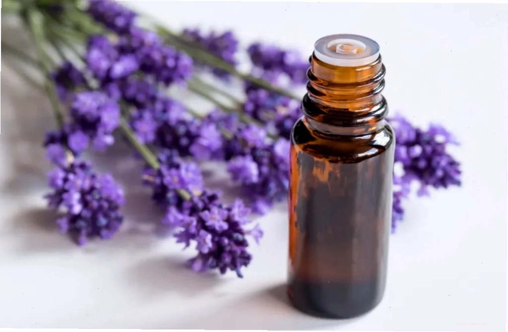 Tinh dầu oải hương giúp thư giãn và ngủ ngon