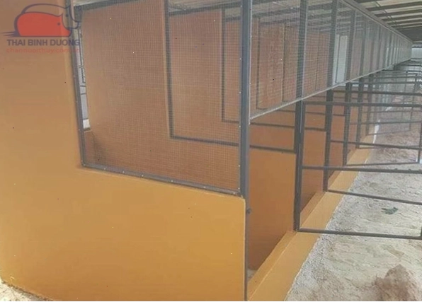 Vệ sinh chuồng gà định kỳ để phòng ngừa bệnh tật