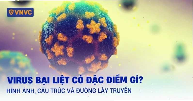 Virus quai bị là tác nhân chính gây bệnh