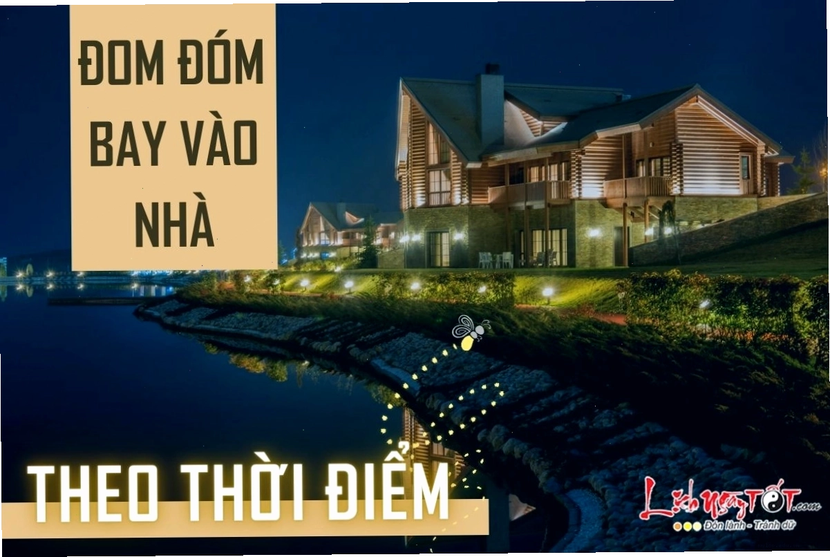 Ý nghĩa đom đóm bay vào nhà theo thời điểm xuất hiện