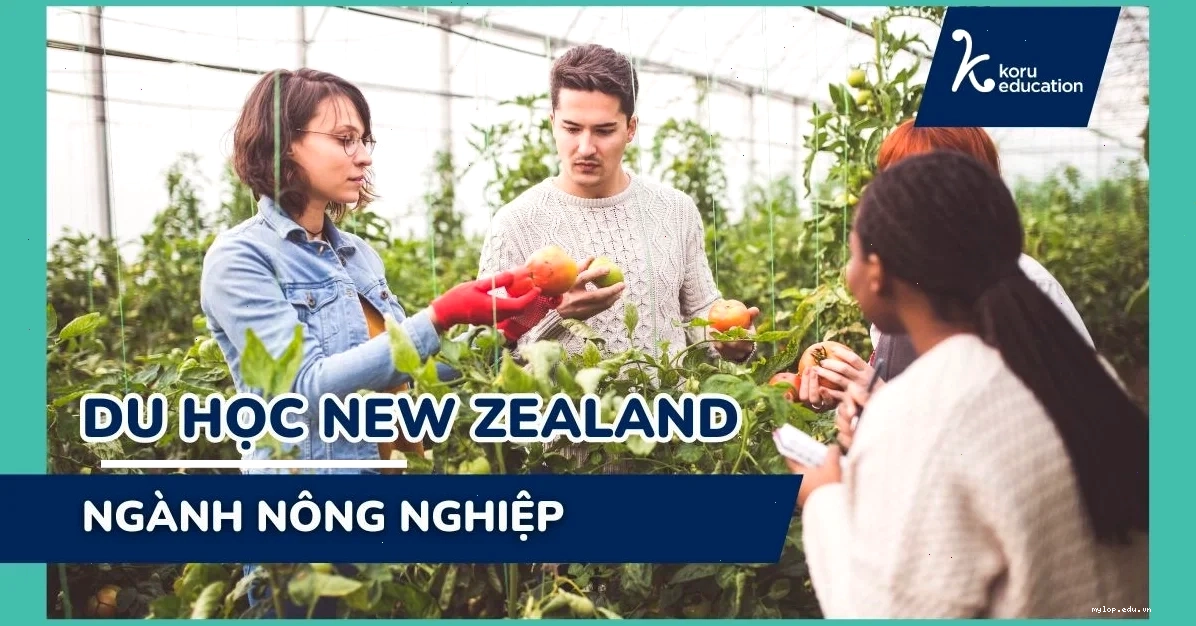 quy trình đăng ký du học new zealand ngành nông nghiệp