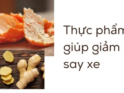 Bí kíp chống say tàu xe hiệu quả và an toàn cho mọi nhà